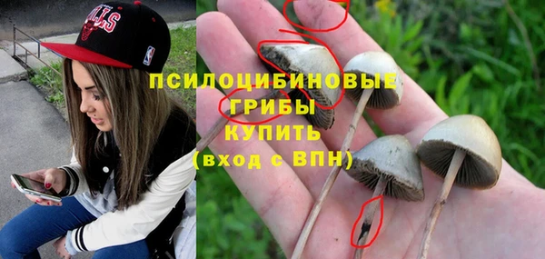 не бодяженный Новодвинск