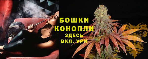 не бодяженный Новодвинск