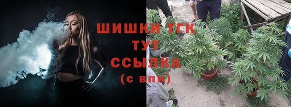 не бодяженный Новодвинск