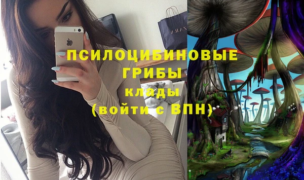 не бодяженный Новодвинск