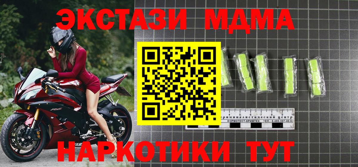 МЕФ Сальск