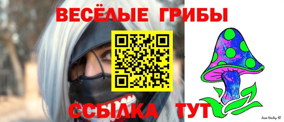 Галлюциногенные грибы ЛСД Сальск
